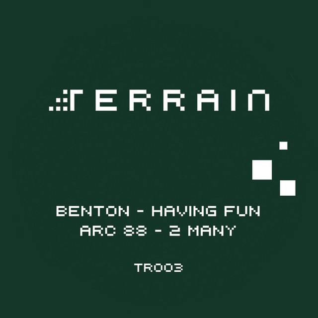 Having Fun / 2 Many cover art
