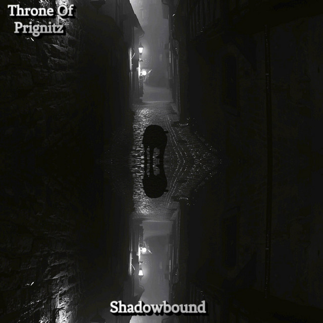 Shadowbound (Don't Turn Around) cover art