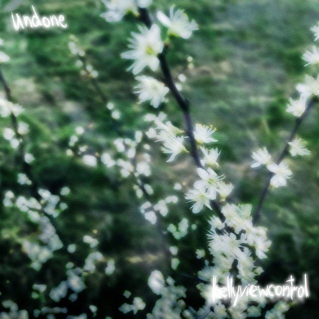undone cover art
