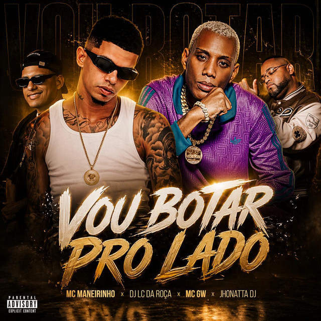 Vou botar pro lado album image