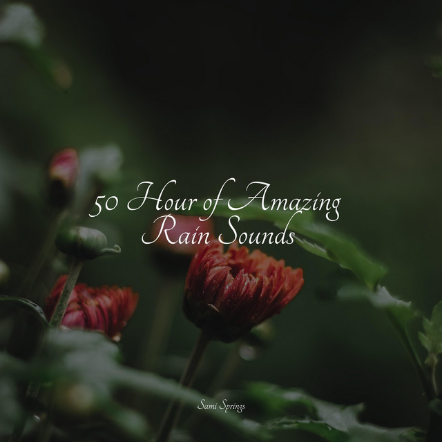 50 Hour of Amazing Rain Sounds - Album by White Noise for Deeper Sleep ...