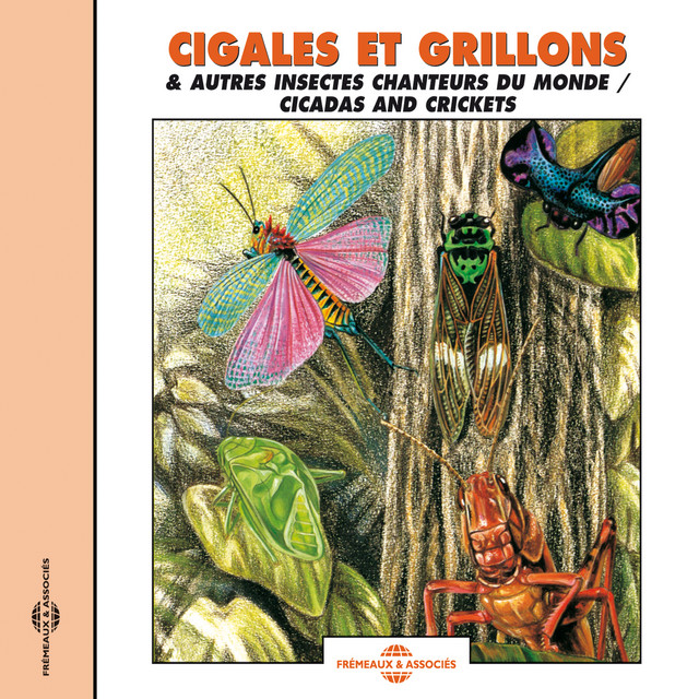 Cigales Et Grillons