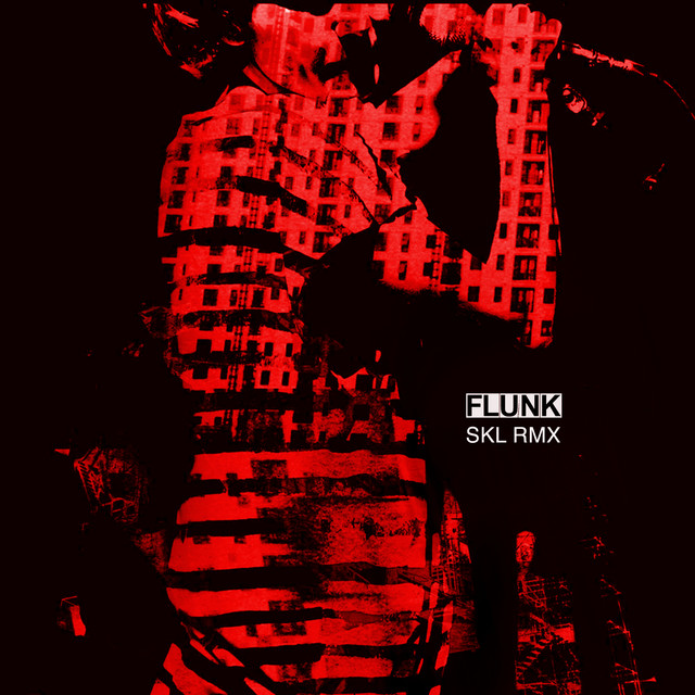 Skl Rmx cover