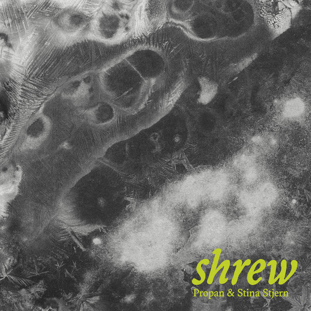 Shrew cover art