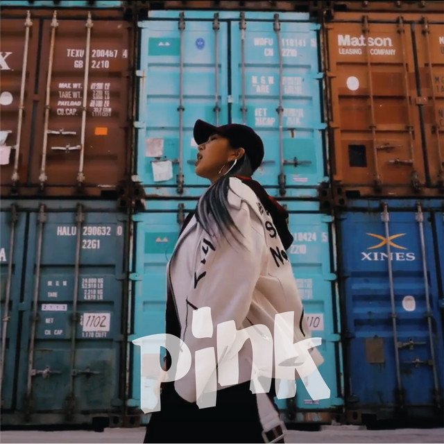 PINK cover