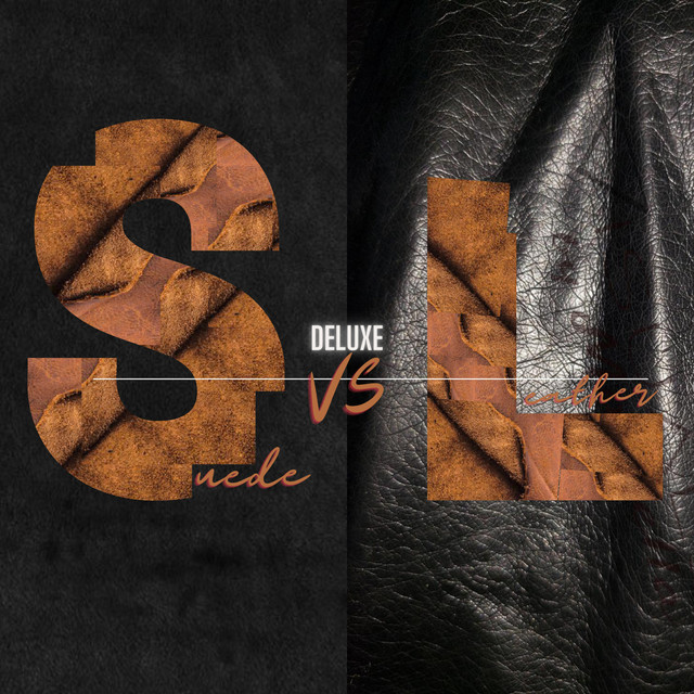 Suede vs Leather Deluxe cover art