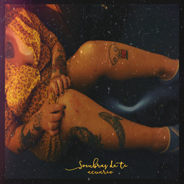 Sombras De Ti (DIY Version) cover