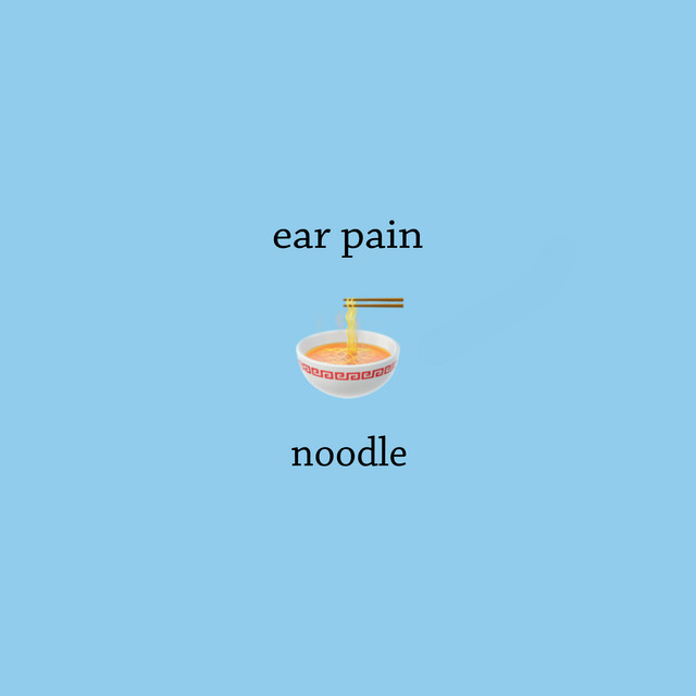 noodle cover