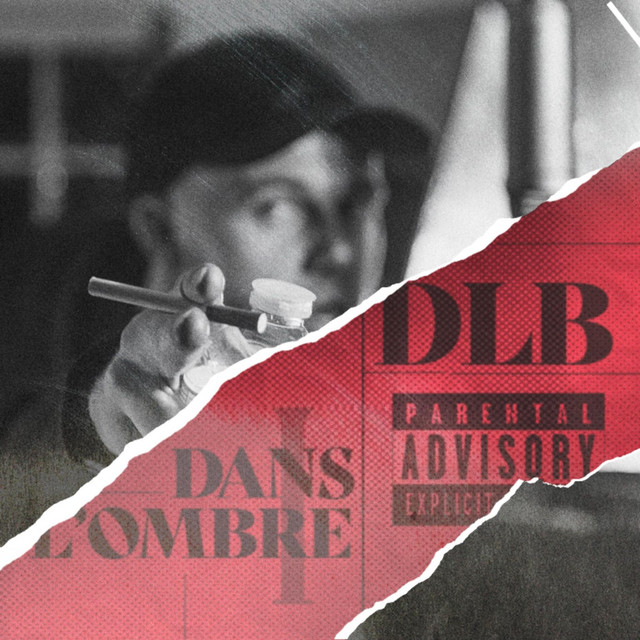 Dans l'ombre cover art