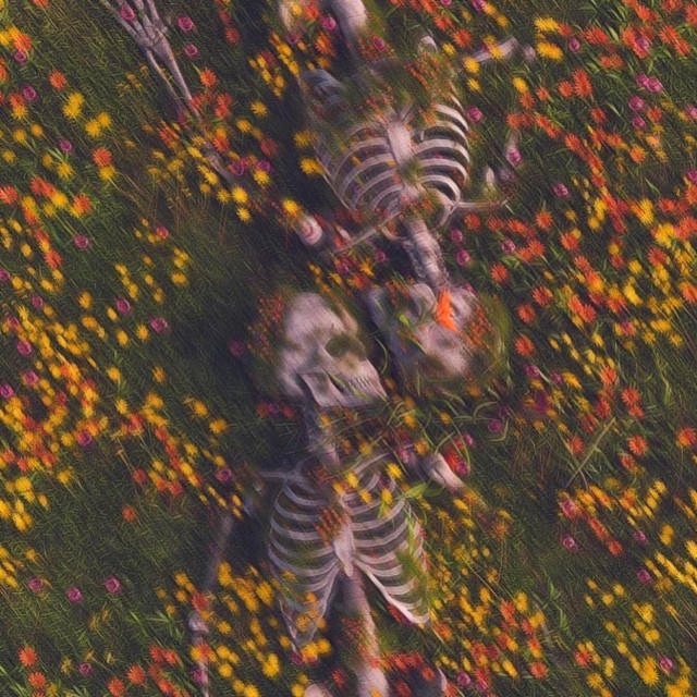 RASH
