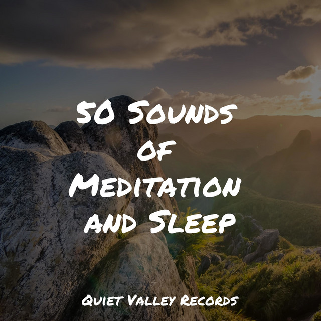50 Sounds of Meditation and Sleep - Album by Rainforest Sounds | Spotify