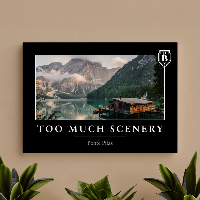 Too Much Scenery cover