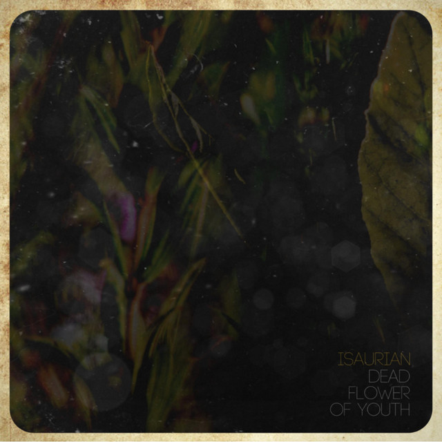 Dead Flower of Youth (single)