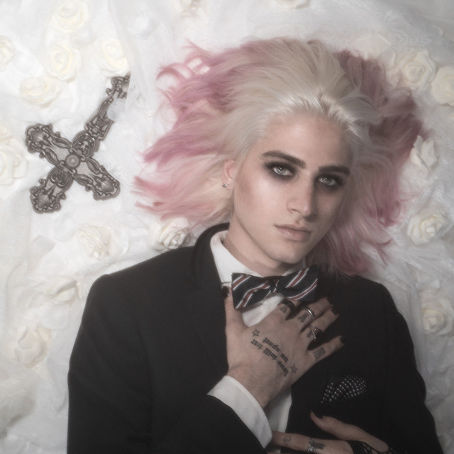weisse rosen cover art