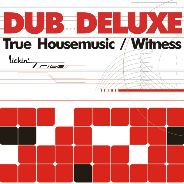 True Housemusic / Witness cover