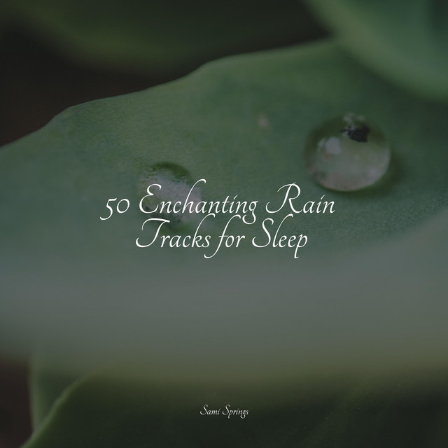 50 Enchanting Rain Tracks for Sleep - Album by Lluvia PQ | Spotify