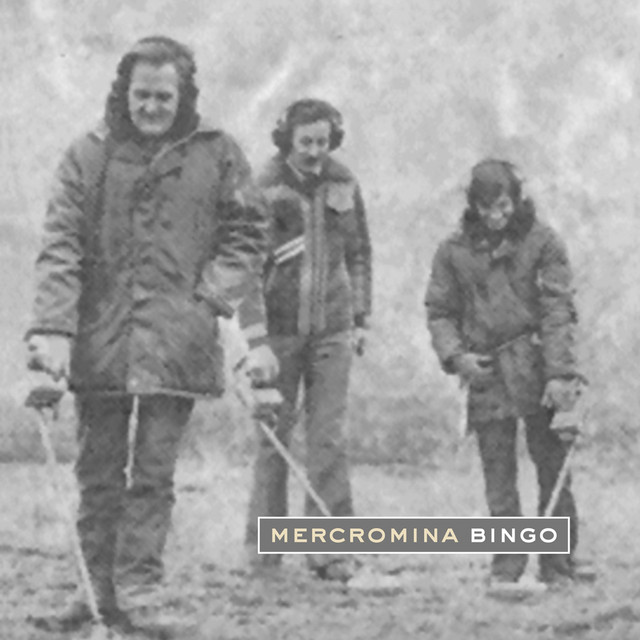 Bingo cover