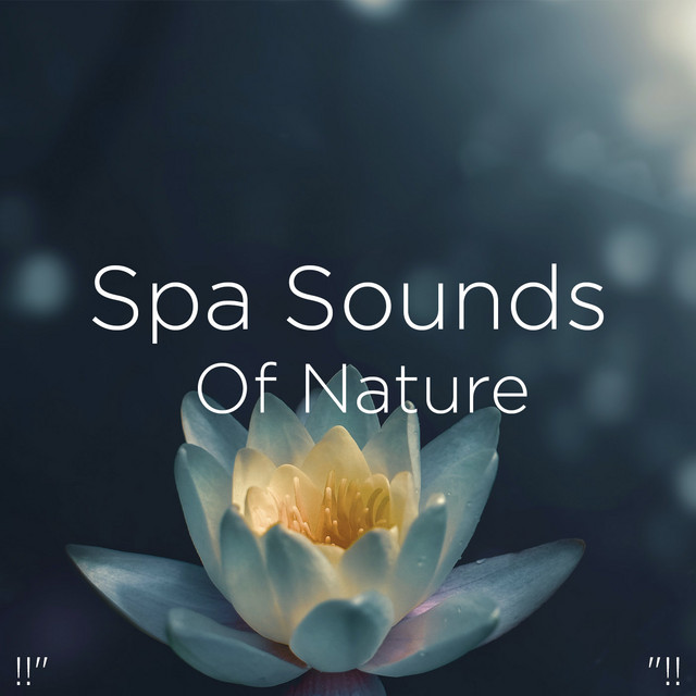 Spa Sounds Of Nature "!! - Album by Sleep Sounds of Nature | Spotify