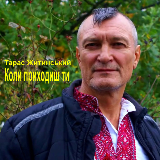 Обкладинка: Коли приходиш ти — Тарас Житинський
