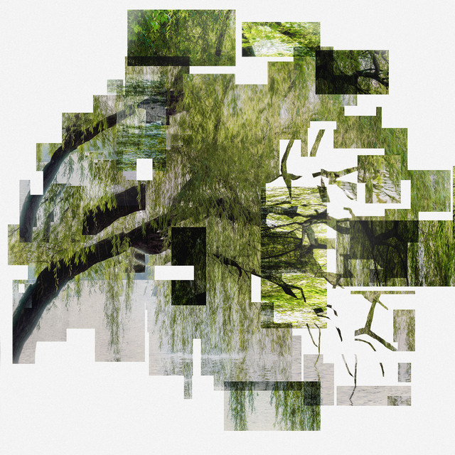 Delusion cover