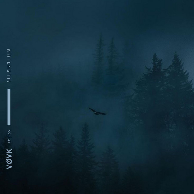 Обкладинка: Silentium - slowed + reverb — VØVK