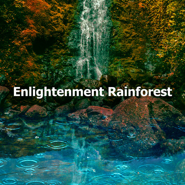 Enlightenment Rainforest - Album by Pro Sound Effects Library | Spotify
