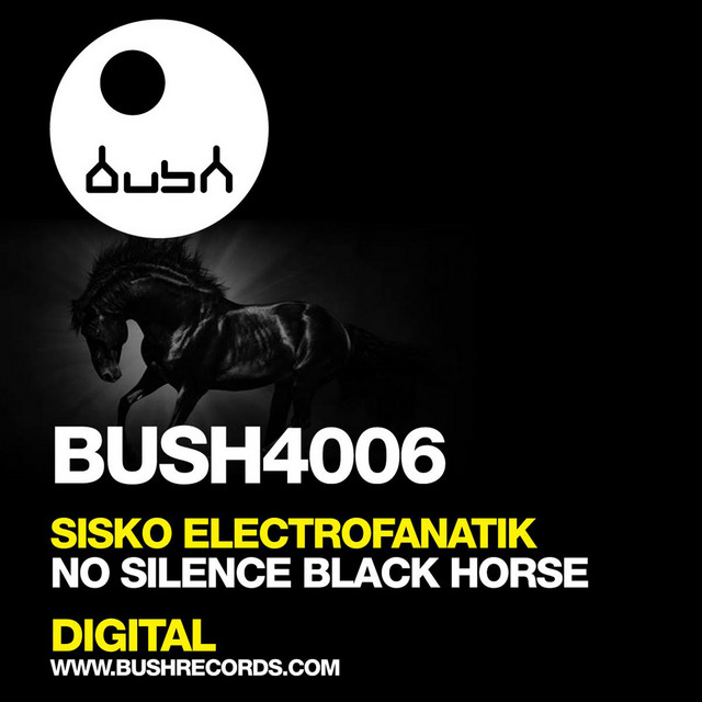 Black Horse album art
