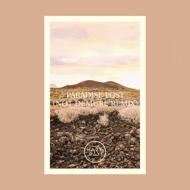 Paradise Lost - Not Demure Remix album art