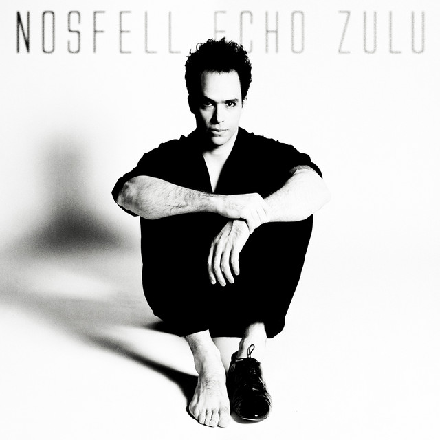 Echo Zulu cover