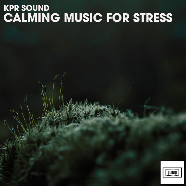 Calming Music for Stress cover art