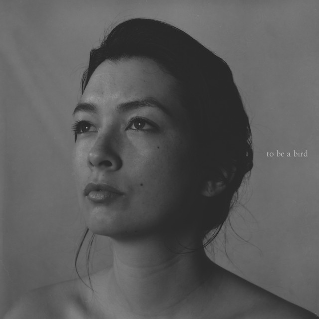 to be a bird cover art