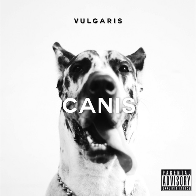 Canis
