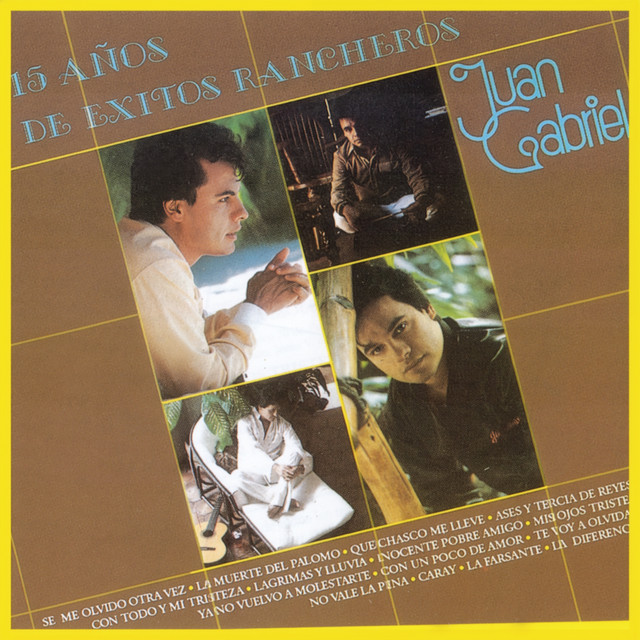 15 Años de Éxitos Rancheros cover art
