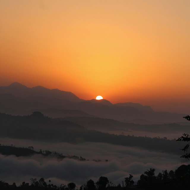 Morning cover art