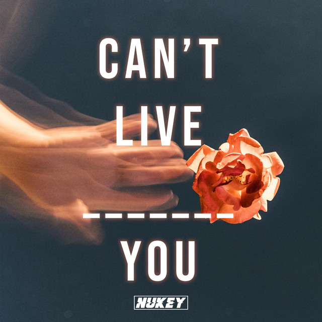 Can't Live Without You