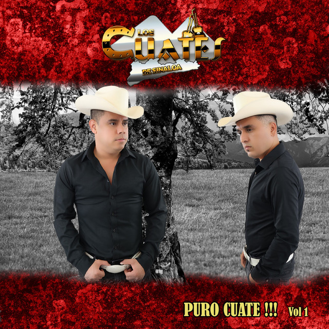 El Diez de Mayo - song and lyrics by Los Cuates de Sinaloa | Spotify