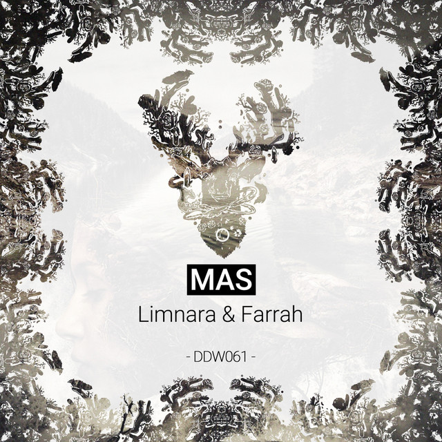 Limnara album art