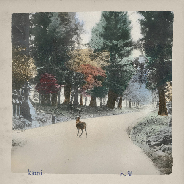undefined album image