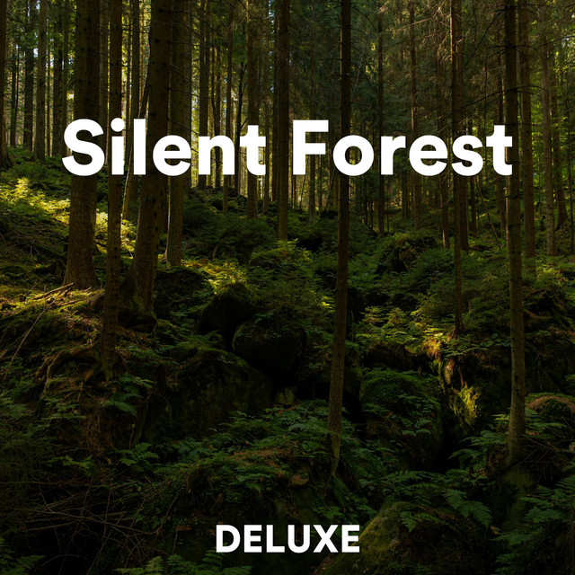 Silent Forest