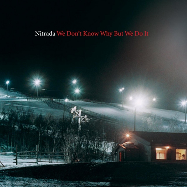 We Don't Know Why but We Do It cover