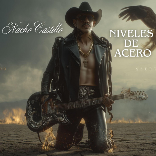 NIVELES DE ACERO - Radio Edit - song and lyrics by NACHO CASTILLO | Spotify