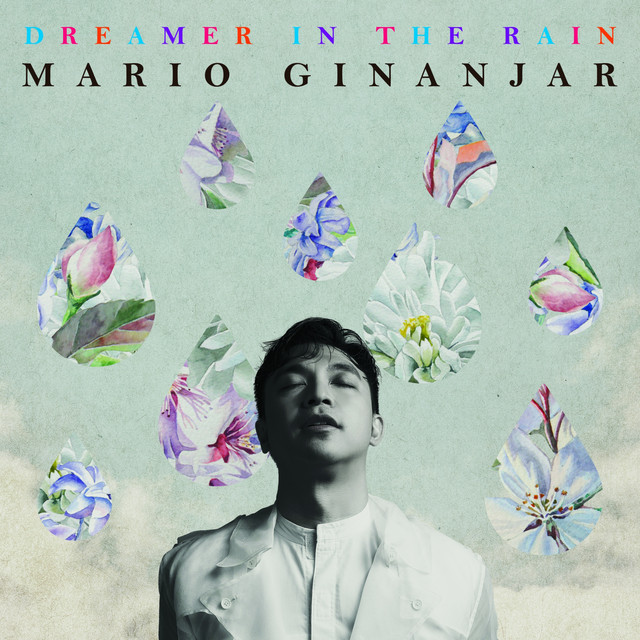 Dreamer In The Rain cover art