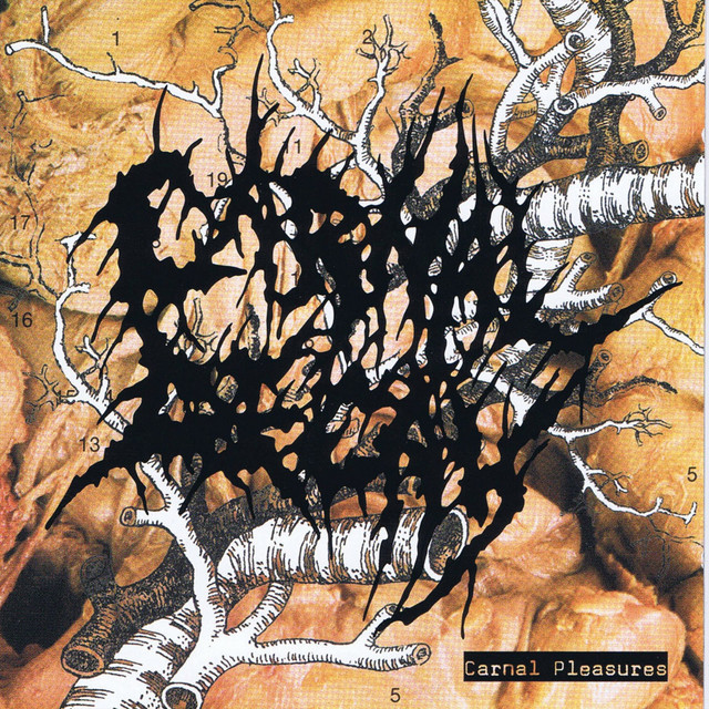 Carnal Pleasures cover