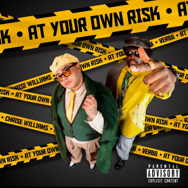 at your own risk cover art