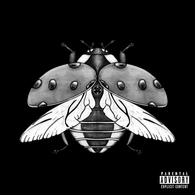 LADYBUG cover art