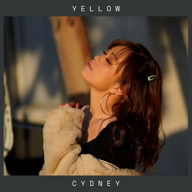 Yellow cover