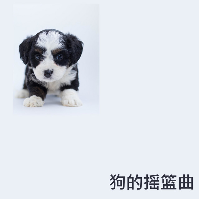 睡觉的背景音乐- song by RW 睡觉的小狗 Spotify
