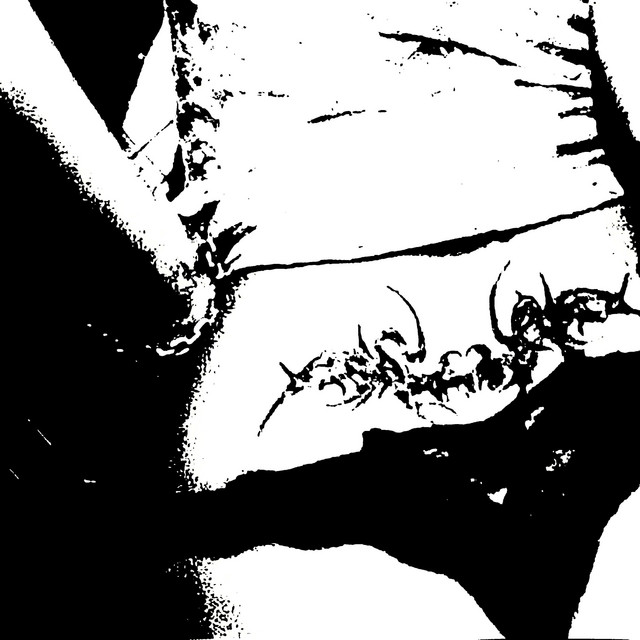 dominate me