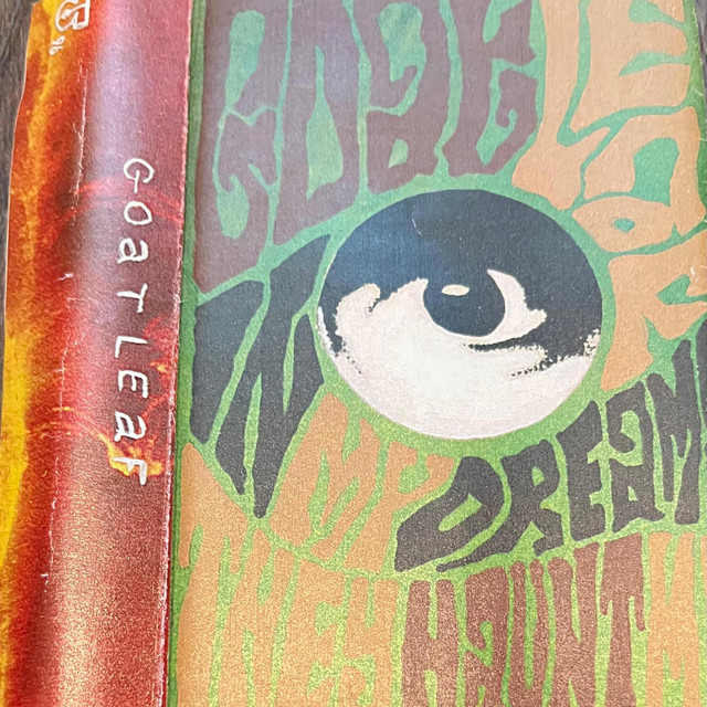 In My Dreams They Haunt Me (96' Original Analog Recordings) cover