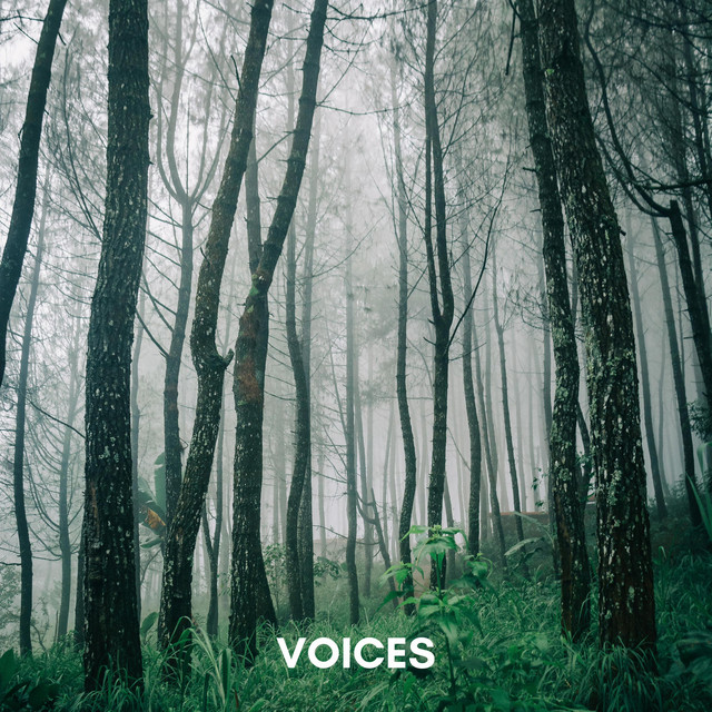 Voices cover art